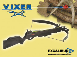 Excalibur Vixen     1024x768 excalibur, vixen, , 
