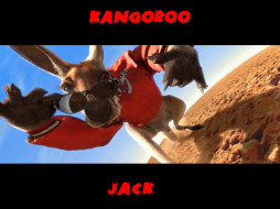      1024x768 , kangoroo, jack