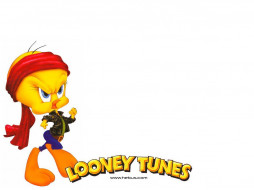 Loony Toons     1024x768 loony, toons, , looney, tunes