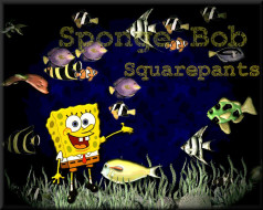 , spongebob, squarepants