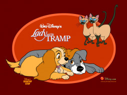      1024x768 , lady, and, the, tramp