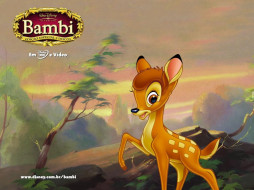 , bambi