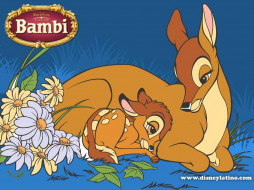Bambi     1024x768 bambi, 