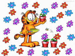      1024x768 , garfield