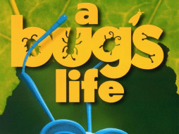 , bugs, life