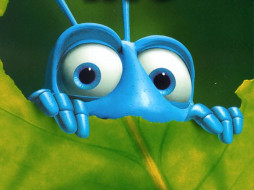 , bugs, life
