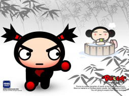 , pucca