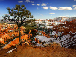 Alone on the Rim, Bryce Canyon National Park, Utah     1600x1200 