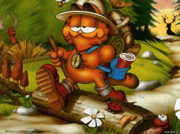      1024x768 , garfield