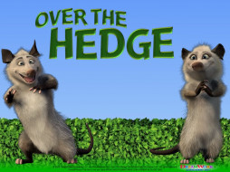 , over, the, hedge