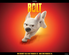 , bolt