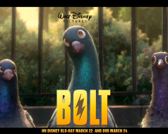 , bolt