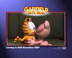 , garfield