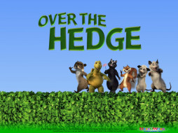      1024x768 , over, the, hedge