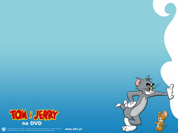      1600x1200 , tom, and, jerry