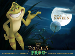 , , , the, princess, and, frog