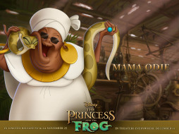        1600x1200 , , , the, princess, and, frog