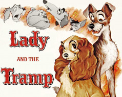 , lady, and, the, tramp