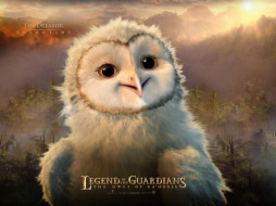 Legend of the Guardians: The Owls of GaHoole     1600x1200 legend, of, the, guardians, owls, gahoole, 