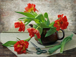 irina, kotlova, натюрморт, тюльпанами, ножницами, цветы, тюльпаны
