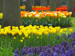 Spring Garden, Keukenhof Gardens, Lisse, Holland     1600x1200 spring, garden, keukenhof, gardens, lisse, holland, , , 