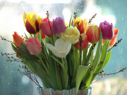Tulips     1024x768 tulips, , 