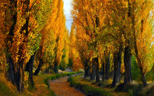 природа, дороги, осень, пейзаж
