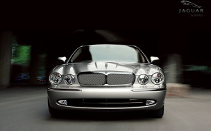 Jaguar     1920x1200 jaguar, 