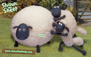 , shaun, the, sheep