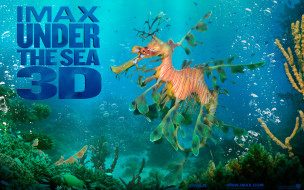 Under the Sea 3D     1680x1050 under, the, sea, 3d, , 