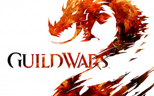 Guild Wars 2     1920x1200 guild, wars, , 