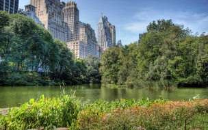 Central Park, New York City     1920x1200 central, park, new, york, city, , , , 