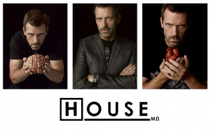 House MD     1920x1200 house, md, , 