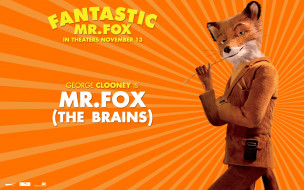 the, fantastic, mr, fox, 