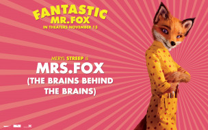 the, fantastic, mr, fox, 