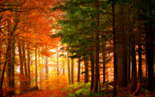 Autumn Colors     1920x1200 autumn, colors, , , , 