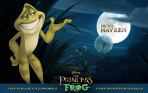 The Princess and the Frog     1920x1200 the, princess, and, frog, 