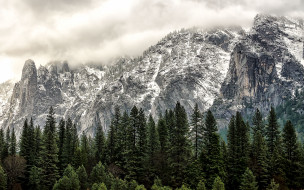 Yosemite National Park, California     3840x2400 yosemite, national, park, california, , , , , 