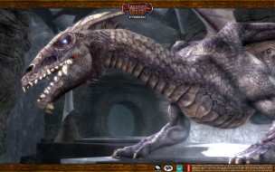Dungeons & Dragons     1920x1200 dungeons, dragons, , , online, stormreach