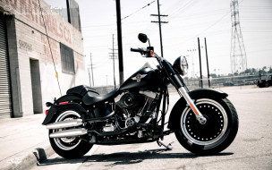 2010 Fatboy Lo     1920x1200 2010, fatboy, lo, , harley, davidson