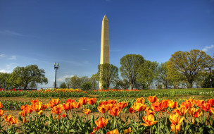 The Jefferson Memorial     2560x1600 the, jefferson, memorial, , , , , 