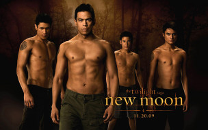      1920x1200 , , the, twilight, saga, new, moon