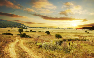     498810 (a):MariJane :2560x1600