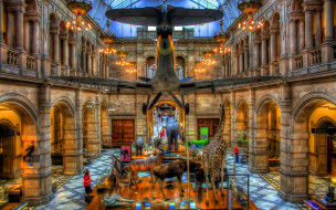 Glasgow Art Galleries     1920x1200 glasgow, art, galleries, , , 
