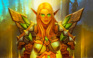 World of Warcraft: Trading Card Game     2560x1600 world, of, warcraft, trading, card, game, , 