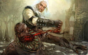 The Witcher     1920x1200 the, witcher, , 