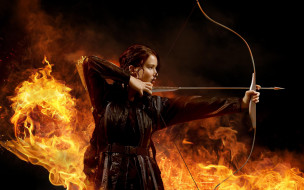 The Hunger Games     2560x1600 the, hunger, games, , , , 