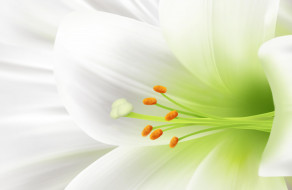     523609 (a):MariJane :5175x3375
