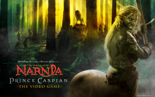 The Chronicles of Narnia: Prince Caspian     2560x1600 the, chronicles, of, narnia, prince, caspian, , , 