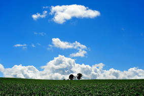     526876 (a): :1920x1285